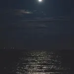 普西尼娜酒店